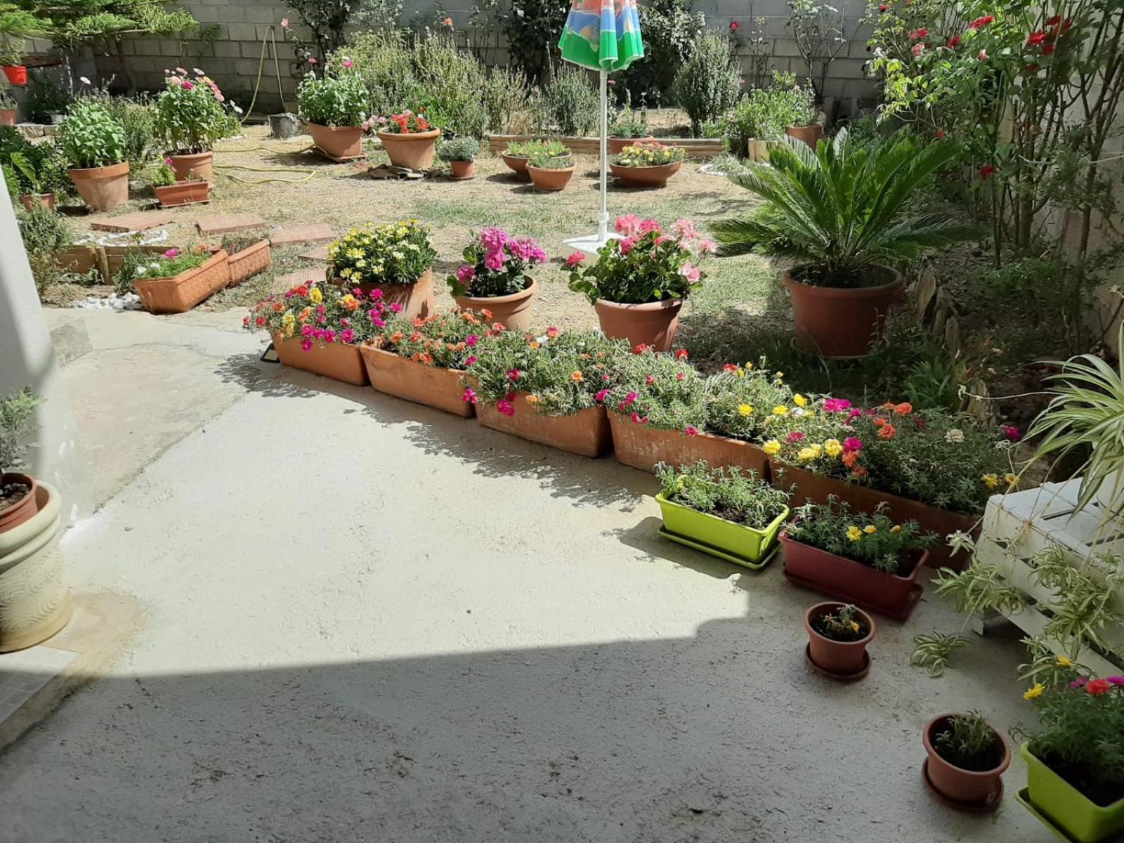 Casa Vacanze Millefiori Codice Iun Q3156 Teulada Bagian luar foto